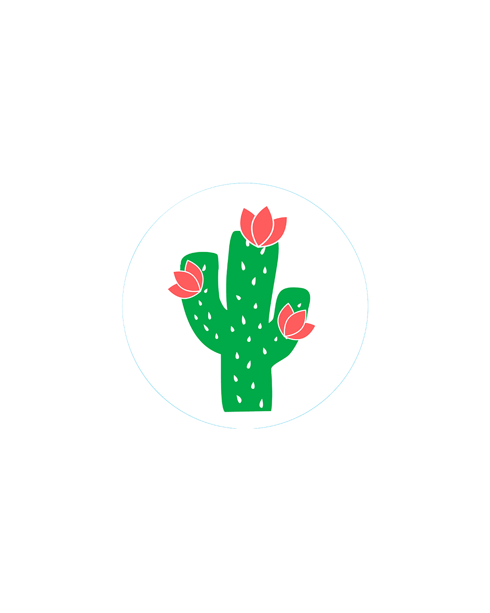 Bogg Bit – Cactus