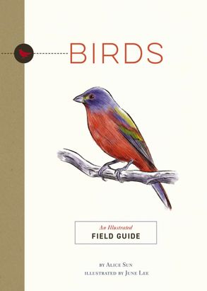 Harper Collins Book: Field Guide – Birds