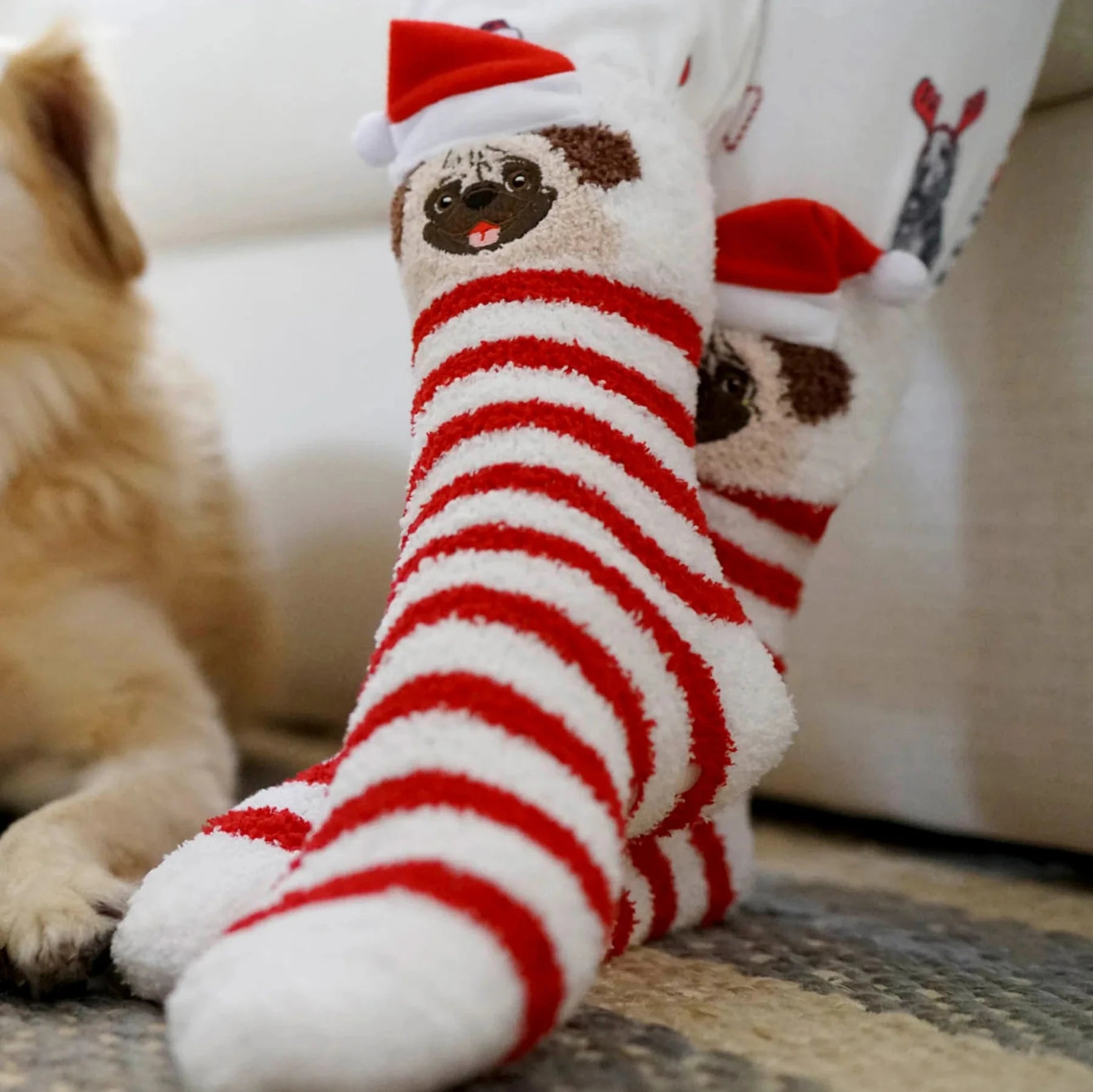 PJ Salvage: Holiday Pug Fun Socks