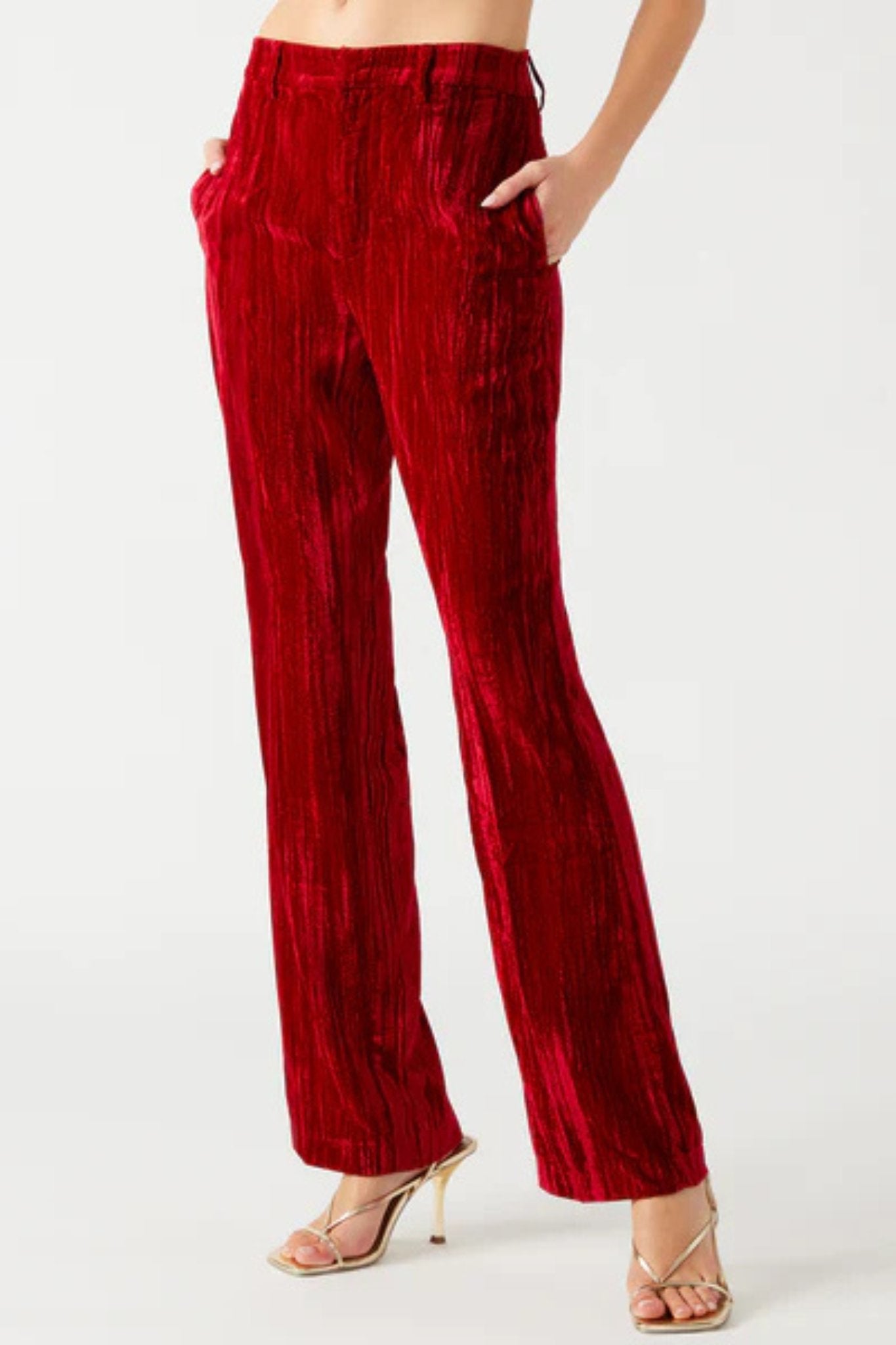 Steve Madden: Mercer Pant in Red Velvet