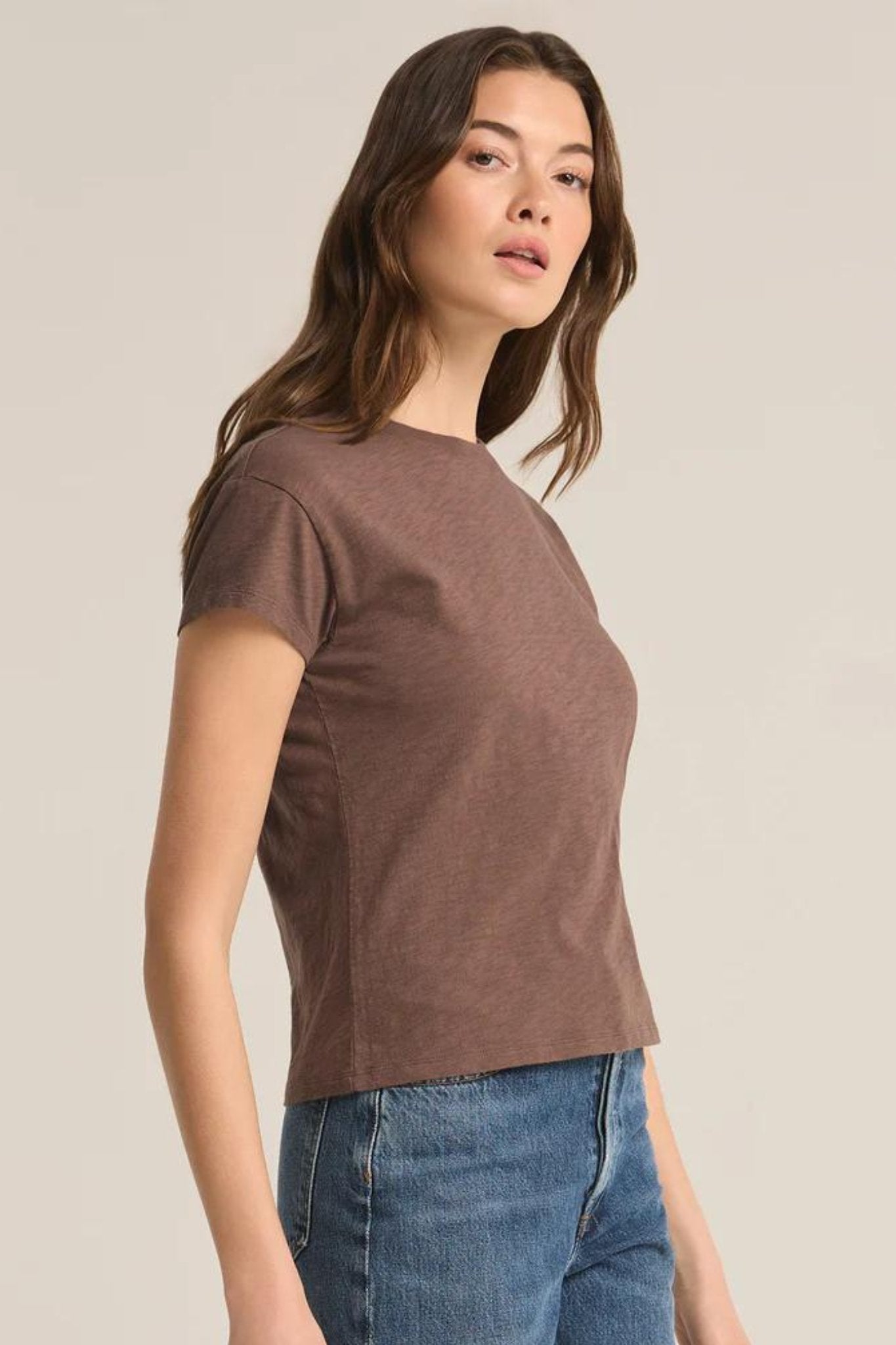 Z Supply: Modern Slub Tee in Deep Taupe